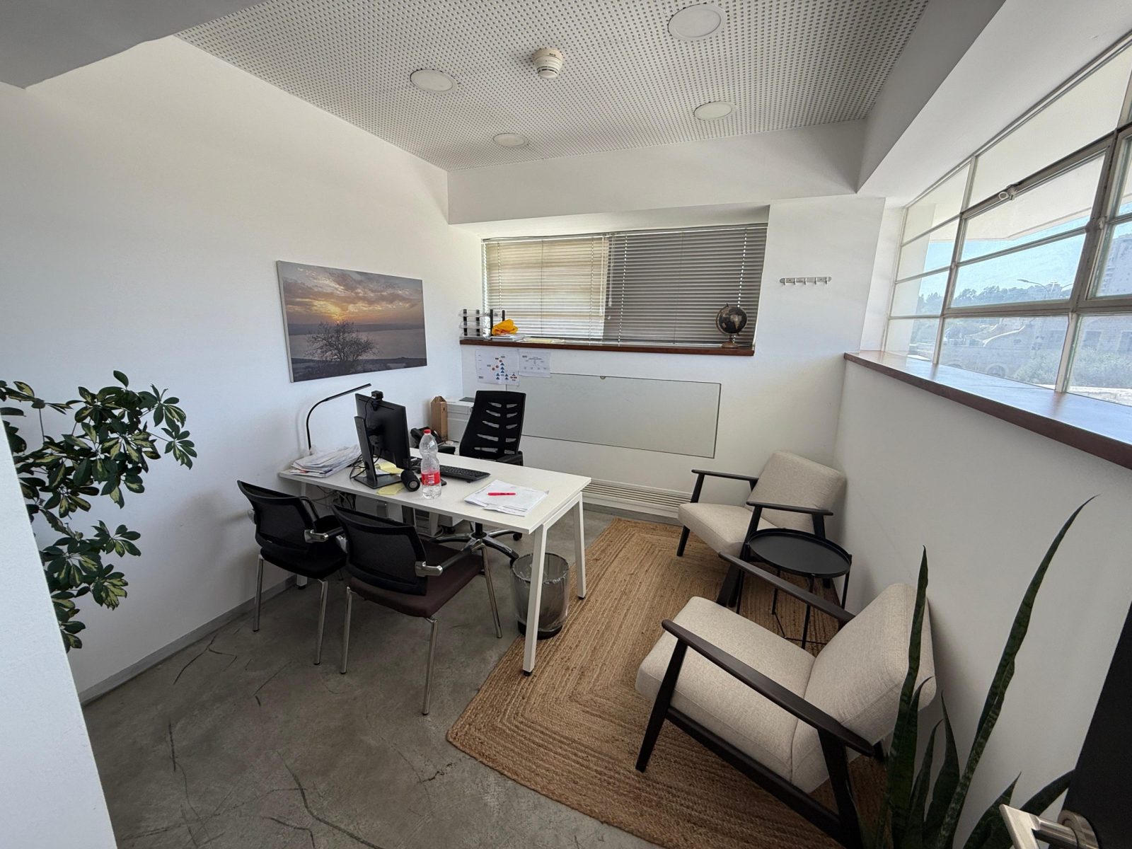 MGN Real Estate (5)